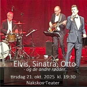 n0090elvis_sinatra_og_de_andre.jpg