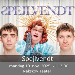 n0110spejlvendt.jpg