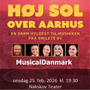 n0180hjsoloveraarhus.jpg